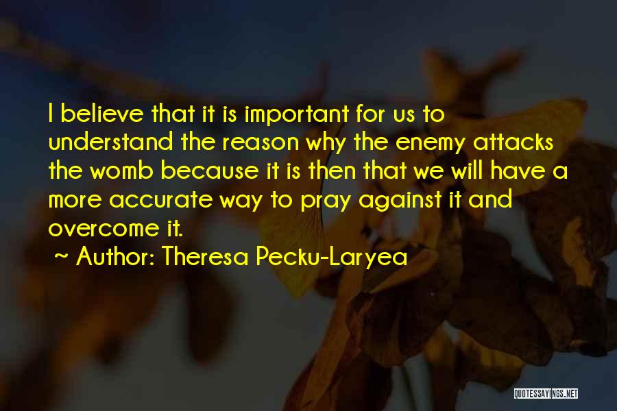 Theresa Pecku-Laryea Quotes: I Believe That It Is Important For Us To Understand The Reason Why The Enemy Attacks The Womb Because It