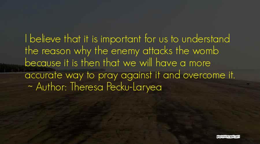 Theresa Pecku-Laryea Quotes: I Believe That It Is Important For Us To Understand The Reason Why The Enemy Attacks The Womb Because It