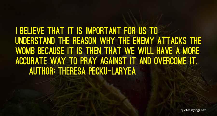 Theresa Pecku-Laryea Quotes: I Believe That It Is Important For Us To Understand The Reason Why The Enemy Attacks The Womb Because It