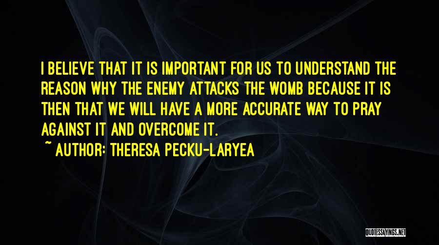 Theresa Pecku-Laryea Quotes: I Believe That It Is Important For Us To Understand The Reason Why The Enemy Attacks The Womb Because It