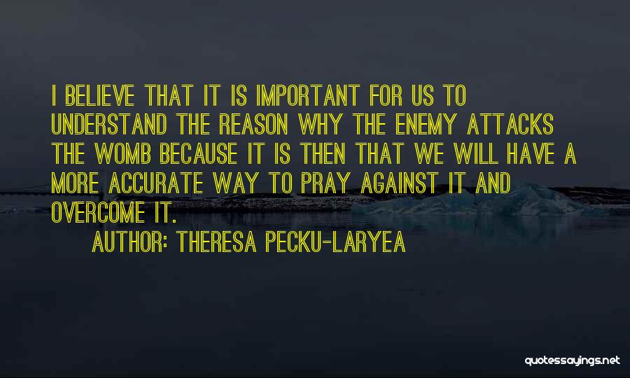 Theresa Pecku-Laryea Quotes: I Believe That It Is Important For Us To Understand The Reason Why The Enemy Attacks The Womb Because It