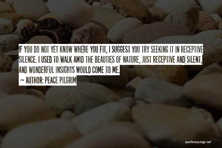 Peace Pilgrim Quotes: If You Do Not Yet Know Where You Fit, I Suggest You Try Seeking It In Receptive Silence. I Used