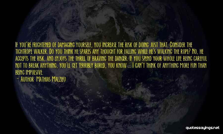 Mathias Malzieu Quotes: If You're Frightened Of Damaging Yourself, You Increase The Risk Of Doing Just That. Consider The Tightrope Walker. Do You