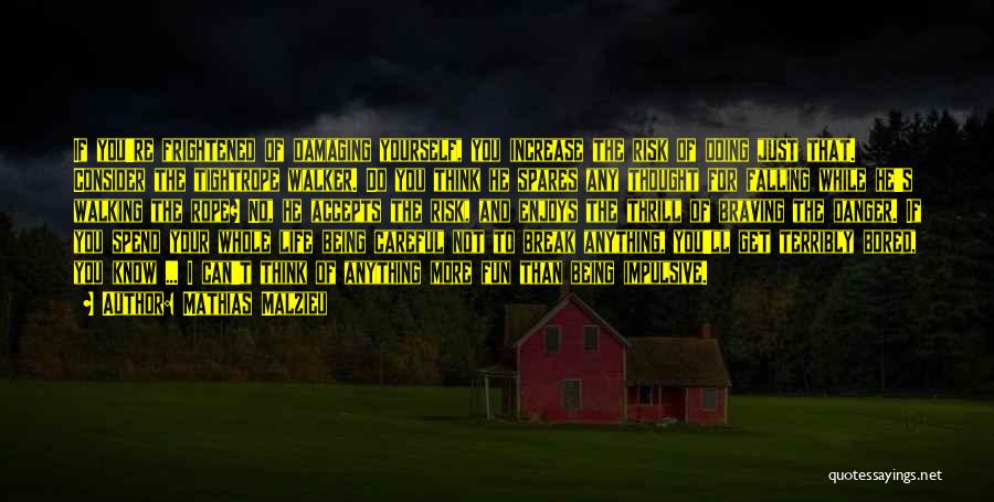 Mathias Malzieu Quotes: If You're Frightened Of Damaging Yourself, You Increase The Risk Of Doing Just That. Consider The Tightrope Walker. Do You