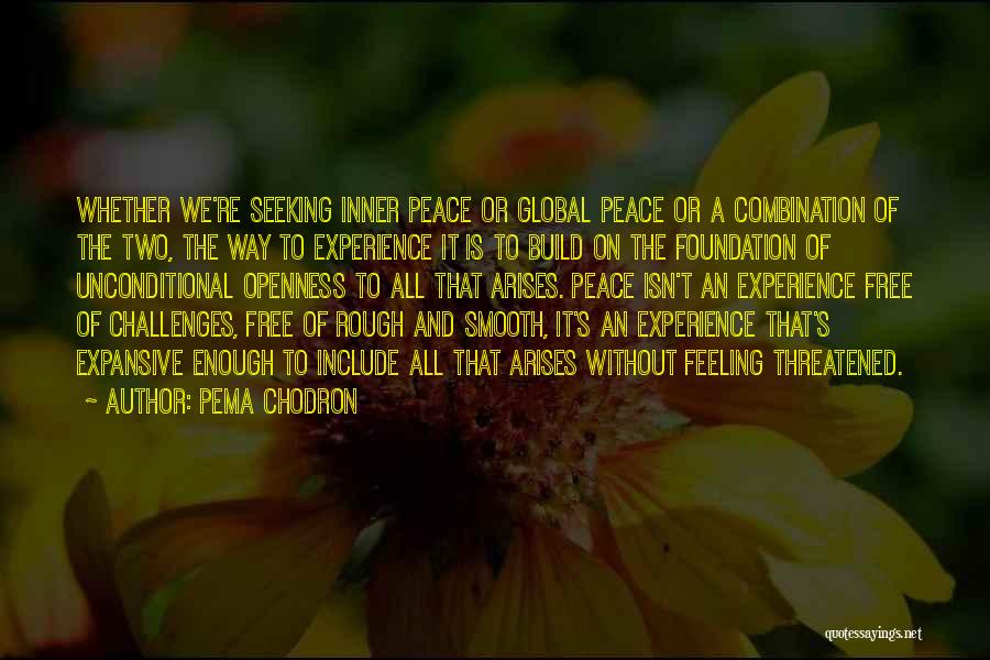Pema Chodron Quotes: Whether We're Seeking Inner Peace Or Global Peace Or A Combination Of The Two, The Way To Experience It Is