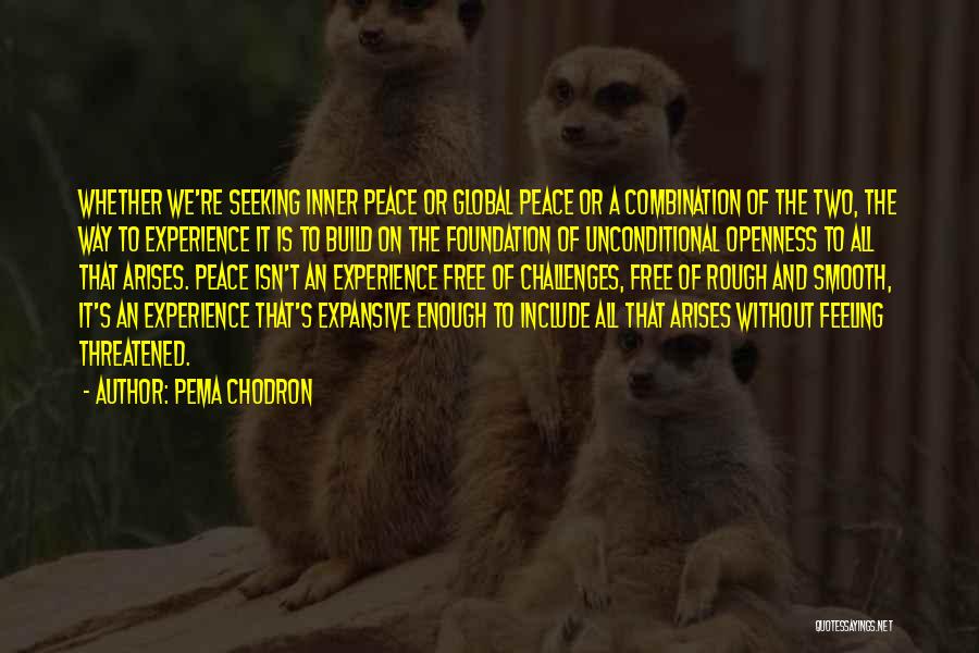 Pema Chodron Quotes: Whether We're Seeking Inner Peace Or Global Peace Or A Combination Of The Two, The Way To Experience It Is