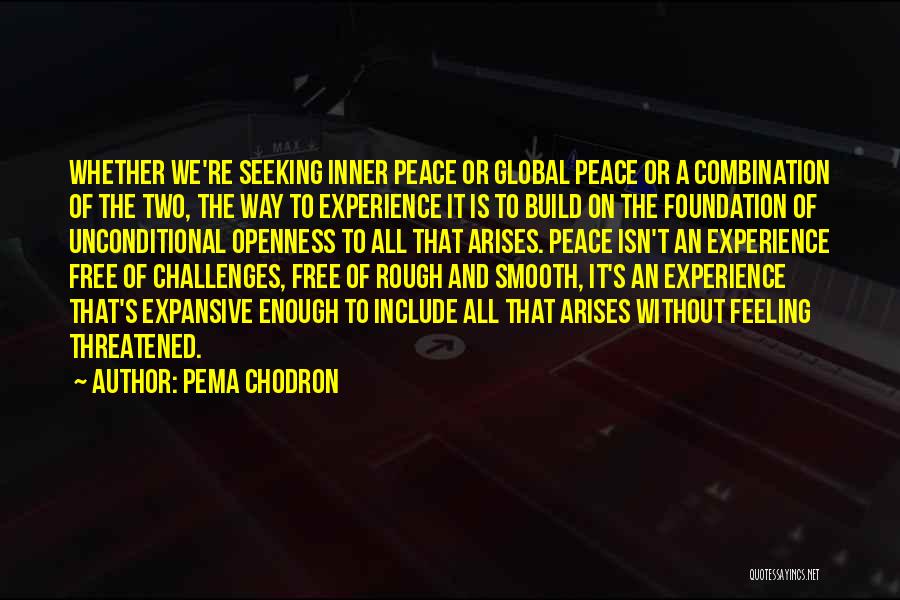 Pema Chodron Quotes: Whether We're Seeking Inner Peace Or Global Peace Or A Combination Of The Two, The Way To Experience It Is