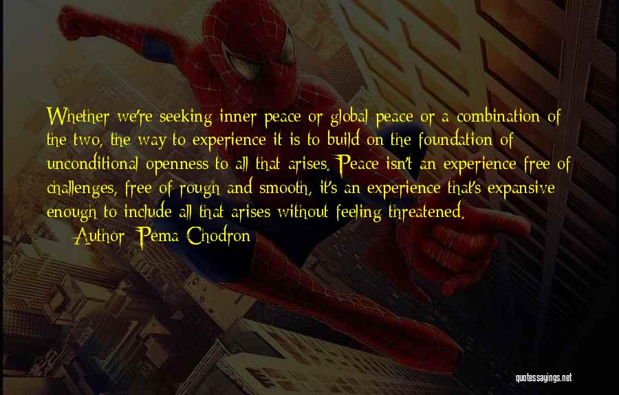 Pema Chodron Quotes: Whether We're Seeking Inner Peace Or Global Peace Or A Combination Of The Two, The Way To Experience It Is
