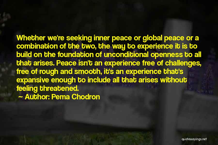 Pema Chodron Quotes: Whether We're Seeking Inner Peace Or Global Peace Or A Combination Of The Two, The Way To Experience It Is