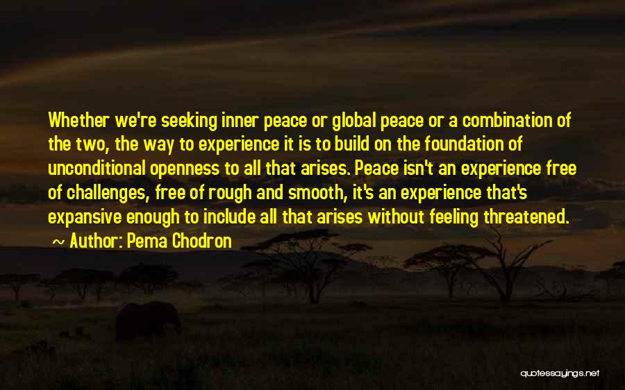 Pema Chodron Quotes: Whether We're Seeking Inner Peace Or Global Peace Or A Combination Of The Two, The Way To Experience It Is