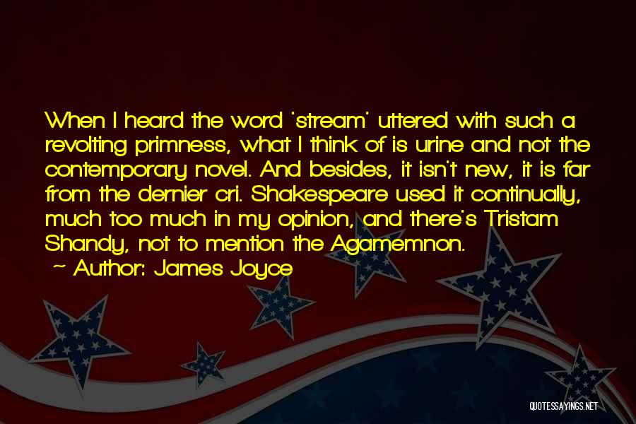 James Joyce Quotes: When I Heard The Word 'stream' Uttered With Such A Revolting Primness, What I Think Of Is Urine And Not