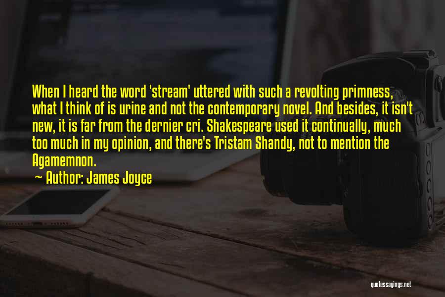 James Joyce Quotes: When I Heard The Word 'stream' Uttered With Such A Revolting Primness, What I Think Of Is Urine And Not