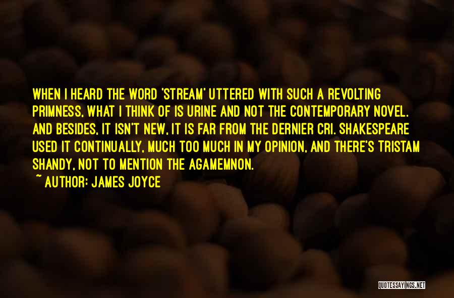 James Joyce Quotes: When I Heard The Word 'stream' Uttered With Such A Revolting Primness, What I Think Of Is Urine And Not