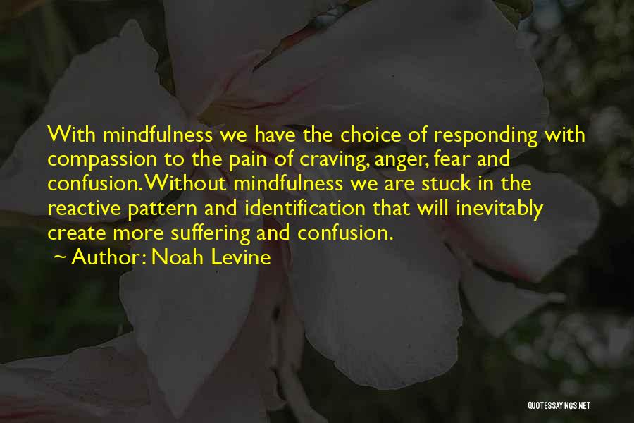 Noah Levine Quotes: With Mindfulness We Have The Choice Of Responding With Compassion To The Pain Of Craving, Anger, Fear And Confusion. Without