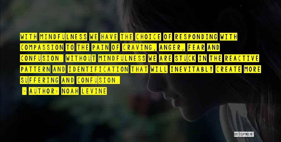 Noah Levine Quotes: With Mindfulness We Have The Choice Of Responding With Compassion To The Pain Of Craving, Anger, Fear And Confusion. Without