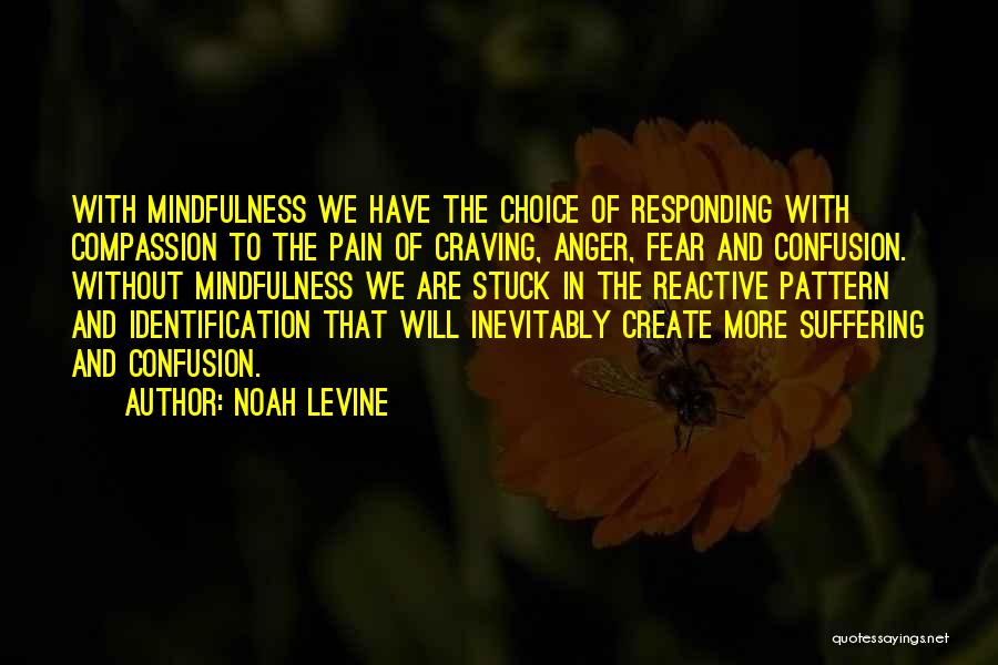 Noah Levine Quotes: With Mindfulness We Have The Choice Of Responding With Compassion To The Pain Of Craving, Anger, Fear And Confusion. Without