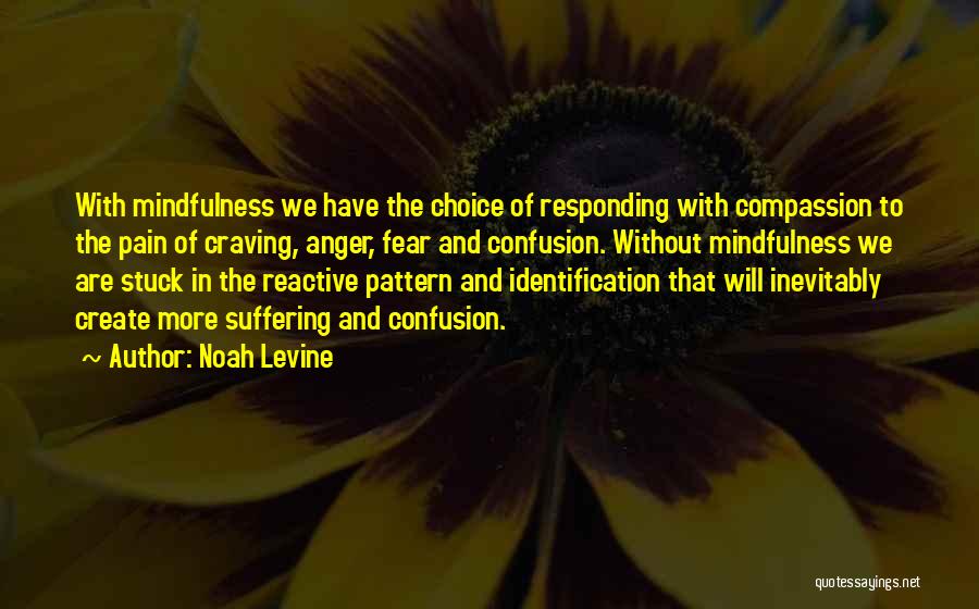 Noah Levine Quotes: With Mindfulness We Have The Choice Of Responding With Compassion To The Pain Of Craving, Anger, Fear And Confusion. Without