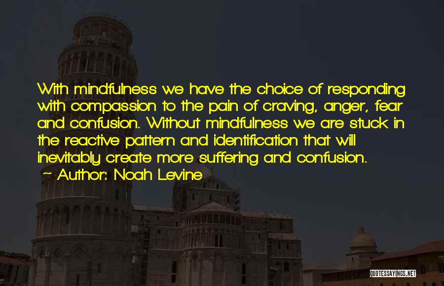 Noah Levine Quotes: With Mindfulness We Have The Choice Of Responding With Compassion To The Pain Of Craving, Anger, Fear And Confusion. Without