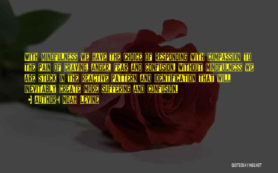 Noah Levine Quotes: With Mindfulness We Have The Choice Of Responding With Compassion To The Pain Of Craving, Anger, Fear And Confusion. Without