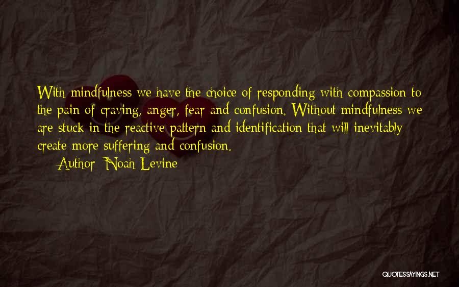 Noah Levine Quotes: With Mindfulness We Have The Choice Of Responding With Compassion To The Pain Of Craving, Anger, Fear And Confusion. Without