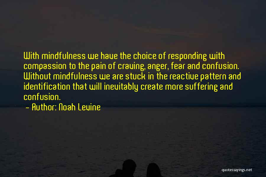 Noah Levine Quotes: With Mindfulness We Have The Choice Of Responding With Compassion To The Pain Of Craving, Anger, Fear And Confusion. Without