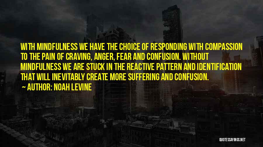 Noah Levine Quotes: With Mindfulness We Have The Choice Of Responding With Compassion To The Pain Of Craving, Anger, Fear And Confusion. Without