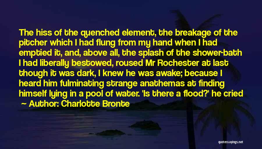 Charlotte Bronte Quotes: The Hiss Of The Quenched Element, The Breakage Of The Pitcher Which I Had Flung From My Hand When I