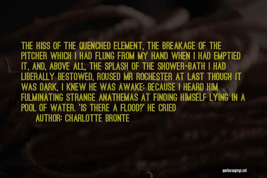 Charlotte Bronte Quotes: The Hiss Of The Quenched Element, The Breakage Of The Pitcher Which I Had Flung From My Hand When I