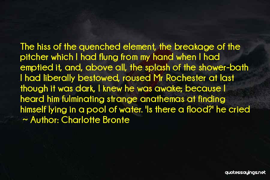 Charlotte Bronte Quotes: The Hiss Of The Quenched Element, The Breakage Of The Pitcher Which I Had Flung From My Hand When I