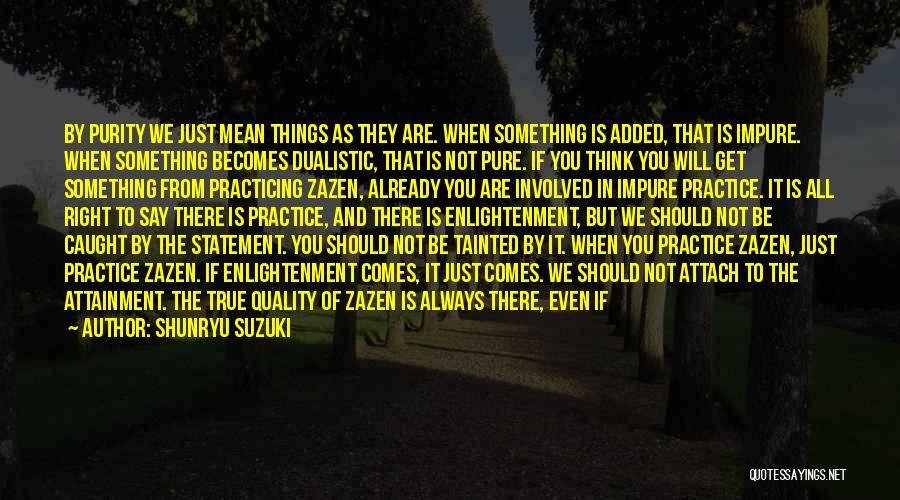 Shunryu Suzuki Quotes: By Purity We Just Mean Things As They Are. When Something Is Added, That Is Impure. When Something Becomes Dualistic,