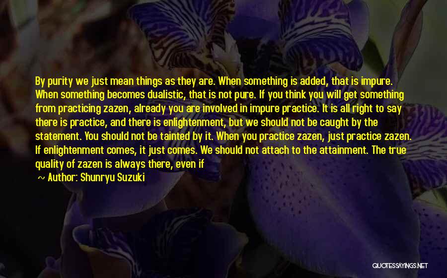 Shunryu Suzuki Quotes: By Purity We Just Mean Things As They Are. When Something Is Added, That Is Impure. When Something Becomes Dualistic,