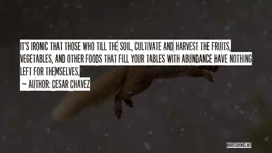 Cesar Chavez Quotes: It's Ironic That Those Who Till The Soil, Cultivate And Harvest The Fruits, Vegetables, And Other Foods That Fill Your