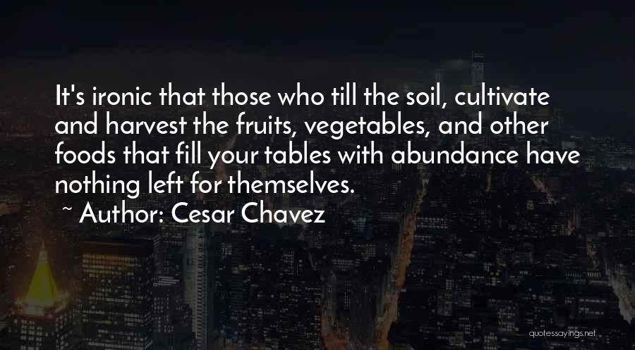 Cesar Chavez Quotes: It's Ironic That Those Who Till The Soil, Cultivate And Harvest The Fruits, Vegetables, And Other Foods That Fill Your