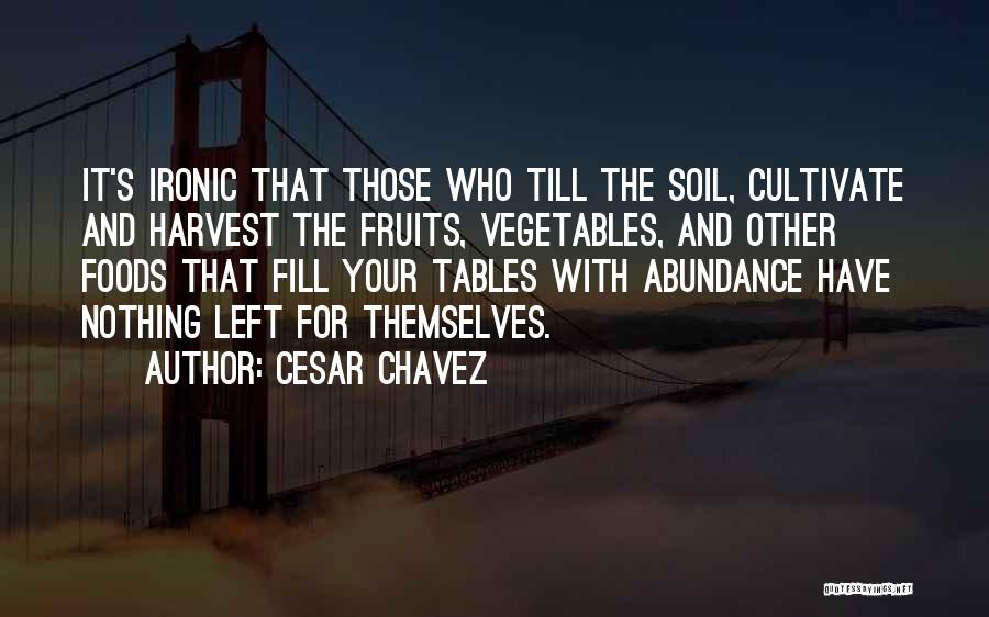 Cesar Chavez Quotes: It's Ironic That Those Who Till The Soil, Cultivate And Harvest The Fruits, Vegetables, And Other Foods That Fill Your