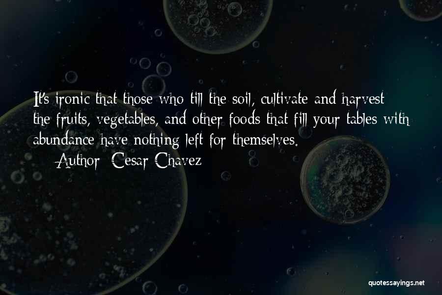 Cesar Chavez Quotes: It's Ironic That Those Who Till The Soil, Cultivate And Harvest The Fruits, Vegetables, And Other Foods That Fill Your