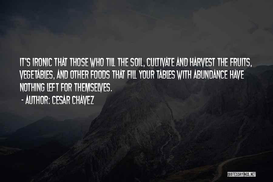 Cesar Chavez Quotes: It's Ironic That Those Who Till The Soil, Cultivate And Harvest The Fruits, Vegetables, And Other Foods That Fill Your