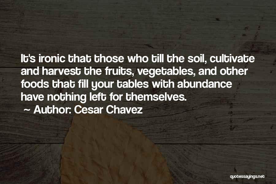 Cesar Chavez Quotes: It's Ironic That Those Who Till The Soil, Cultivate And Harvest The Fruits, Vegetables, And Other Foods That Fill Your