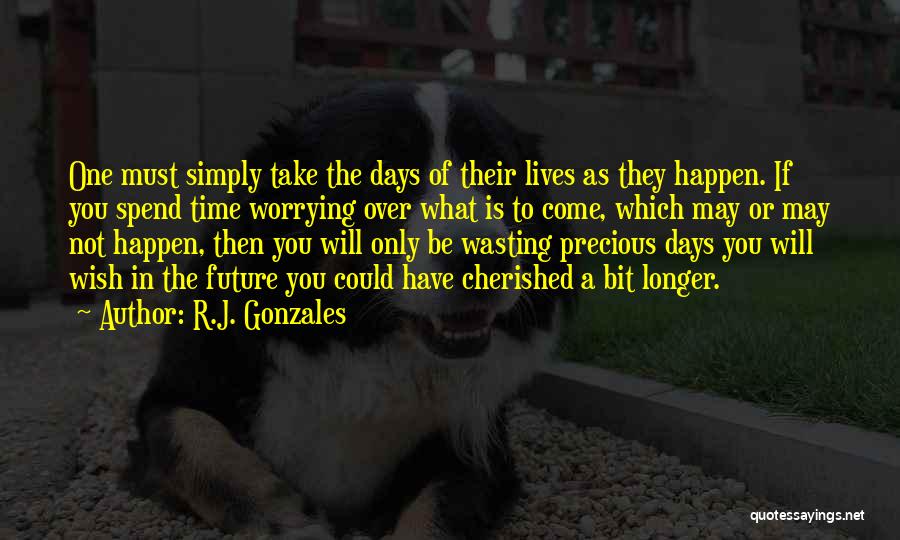 R.J. Gonzales Quotes: One Must Simply Take The Days Of Their Lives As They Happen. If You Spend Time Worrying Over What Is