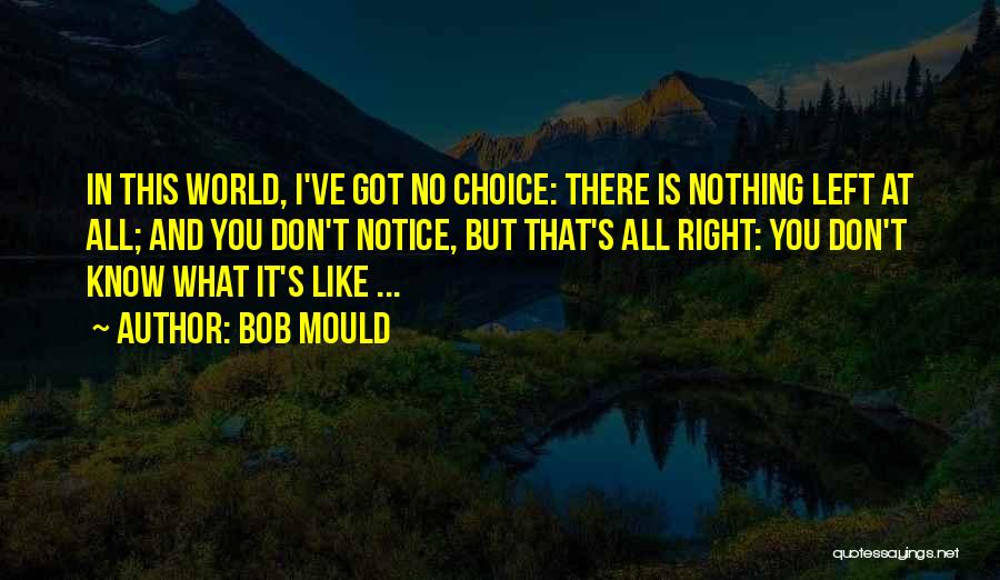 Bob Mould Quotes: In This World, I've Got No Choice: There Is Nothing Left At All; And You Don't Notice, But That's All