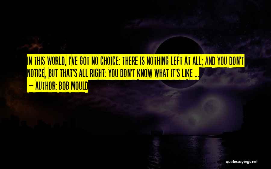 Bob Mould Quotes: In This World, I've Got No Choice: There Is Nothing Left At All; And You Don't Notice, But That's All