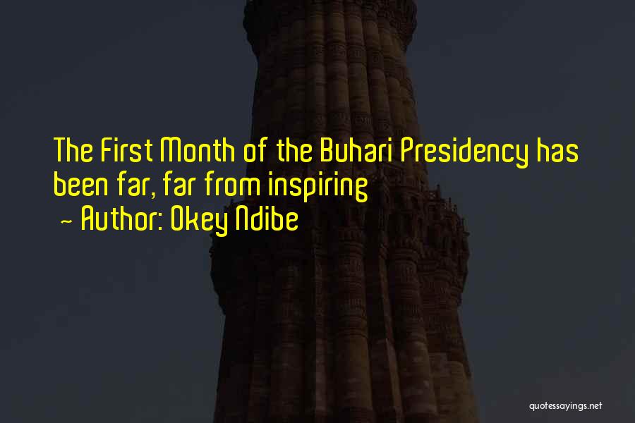 Okey Ndibe Quotes: The First Month Of The Buhari Presidency Has Been Far, Far From Inspiring