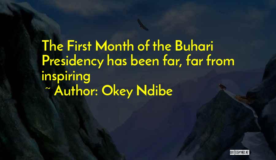 Okey Ndibe Quotes: The First Month Of The Buhari Presidency Has Been Far, Far From Inspiring