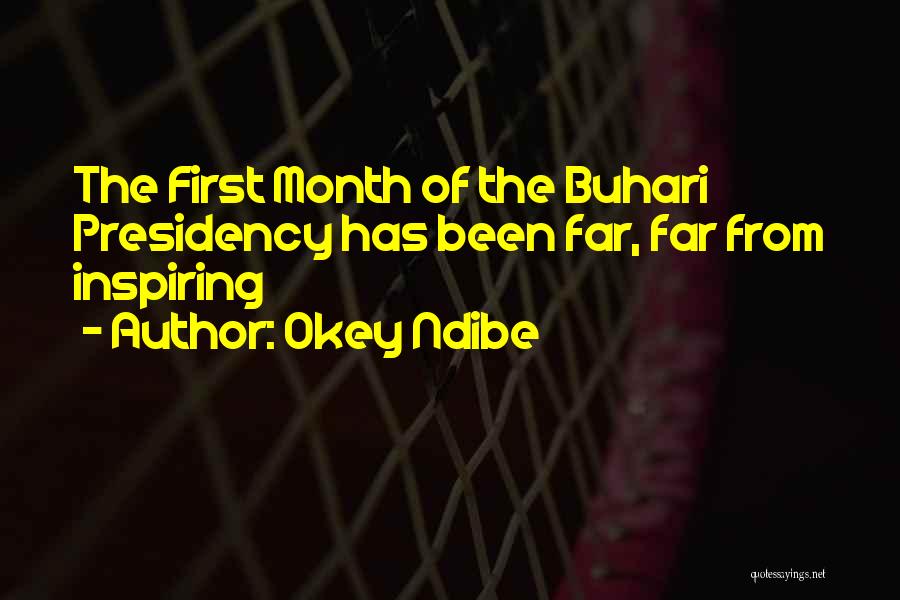 Okey Ndibe Quotes: The First Month Of The Buhari Presidency Has Been Far, Far From Inspiring