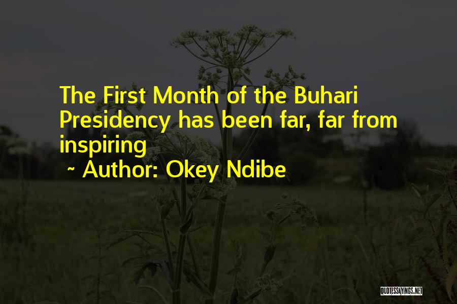 Okey Ndibe Quotes: The First Month Of The Buhari Presidency Has Been Far, Far From Inspiring