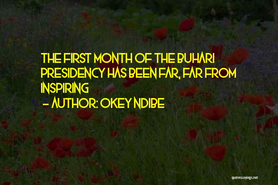 Okey Ndibe Quotes: The First Month Of The Buhari Presidency Has Been Far, Far From Inspiring