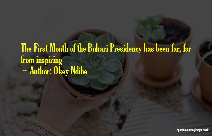 Okey Ndibe Quotes: The First Month Of The Buhari Presidency Has Been Far, Far From Inspiring