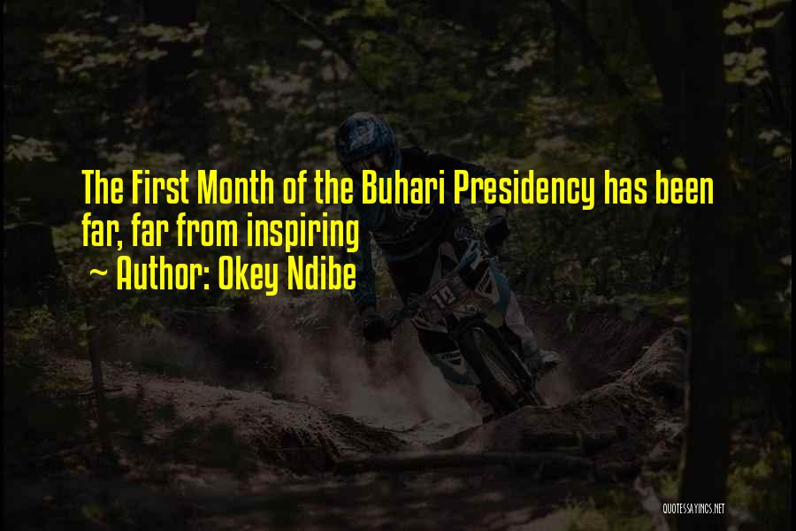 Okey Ndibe Quotes: The First Month Of The Buhari Presidency Has Been Far, Far From Inspiring