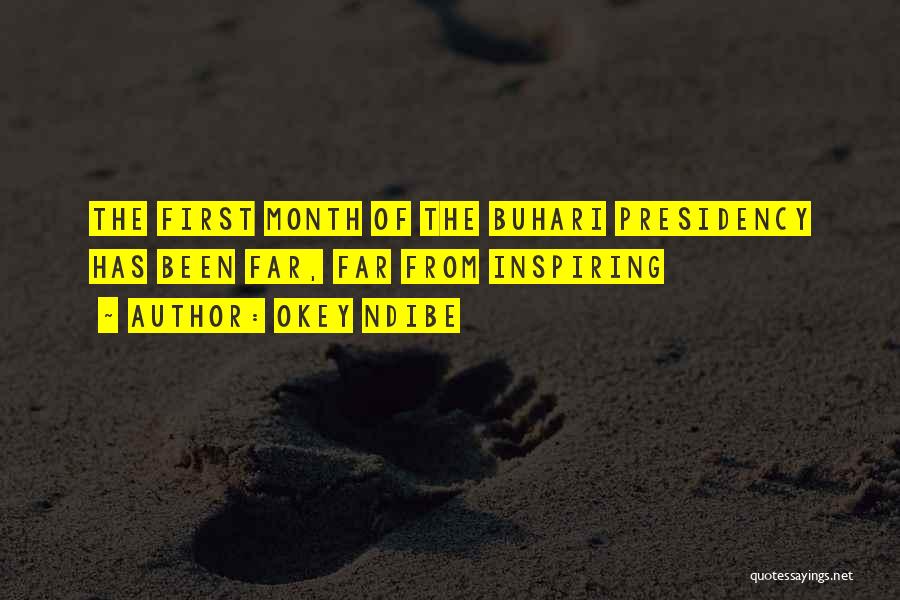 Okey Ndibe Quotes: The First Month Of The Buhari Presidency Has Been Far, Far From Inspiring