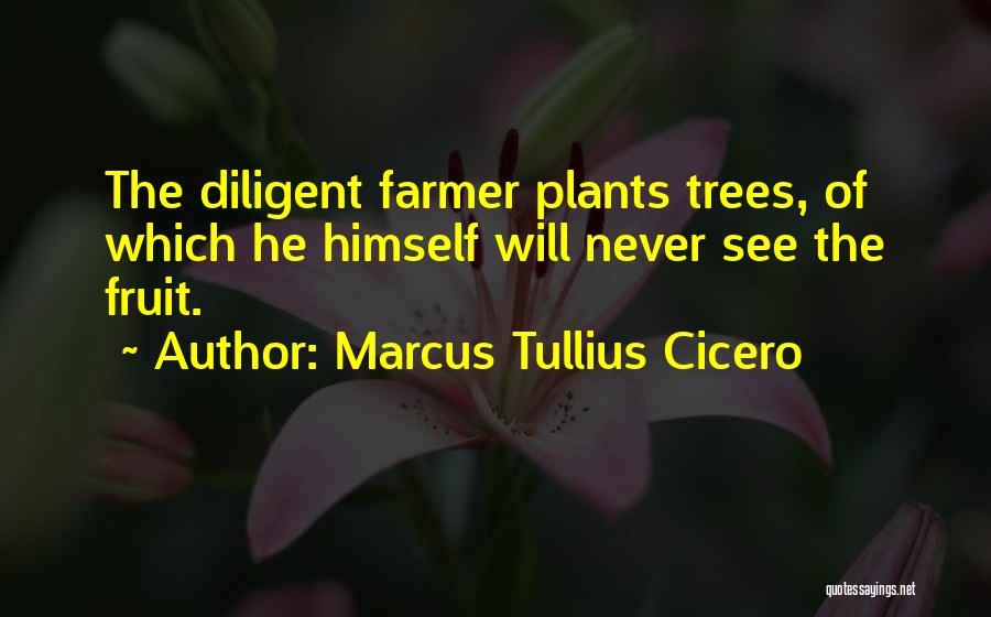 Marcus Tullius Cicero Quotes: The Diligent Farmer Plants Trees, Of Which He Himself Will Never See The Fruit.