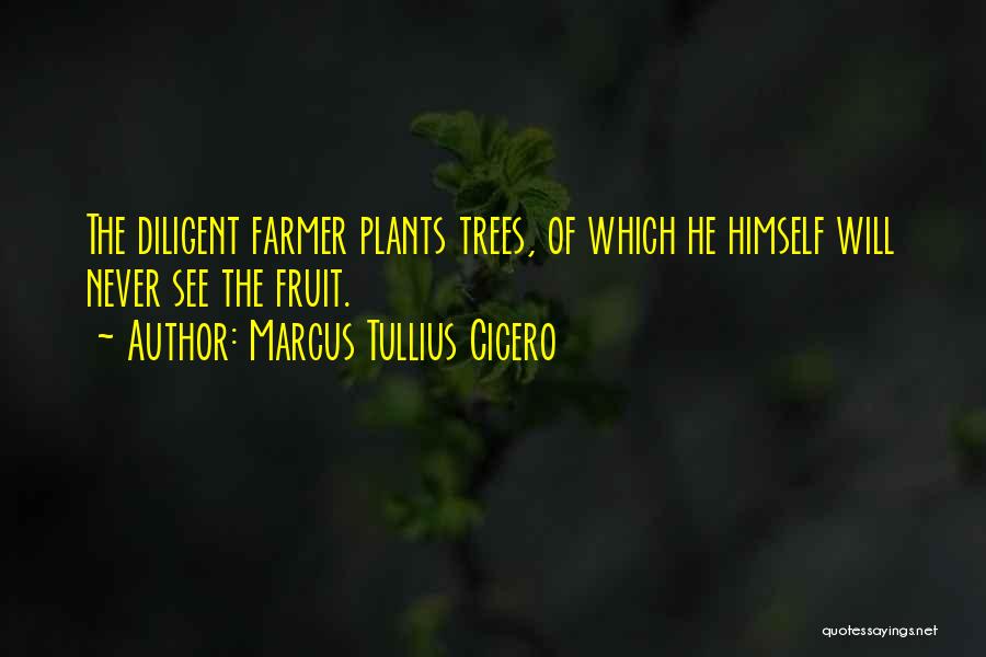 Marcus Tullius Cicero Quotes: The Diligent Farmer Plants Trees, Of Which He Himself Will Never See The Fruit.
